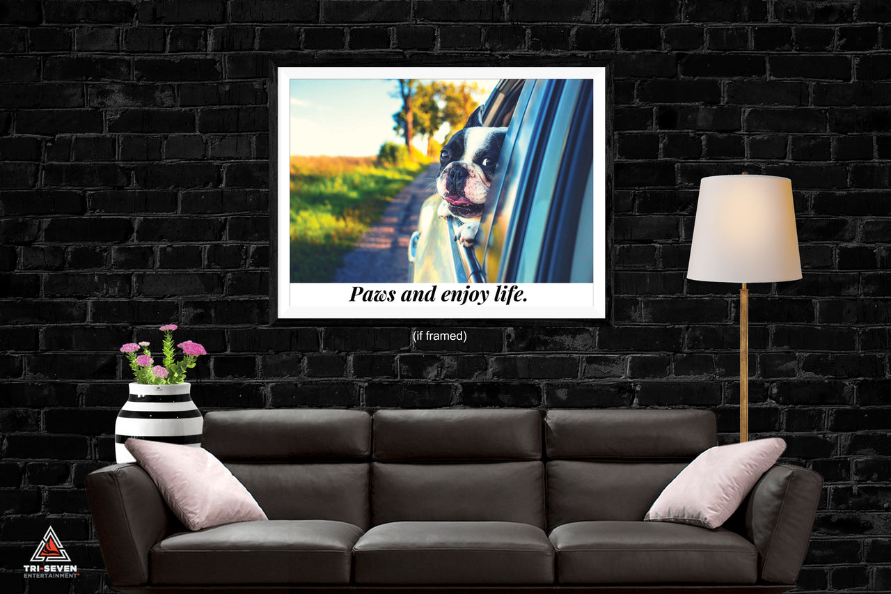 dog poster for wall
