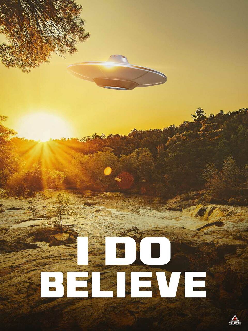 I Do Believe Poster UFO Alien Truth is Here Wall Art Print