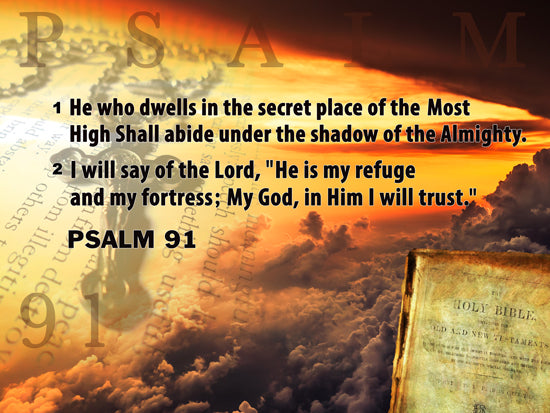 Psalm 91 Poster Bible Scripture Quote Inspirational Art Print (18x24).
