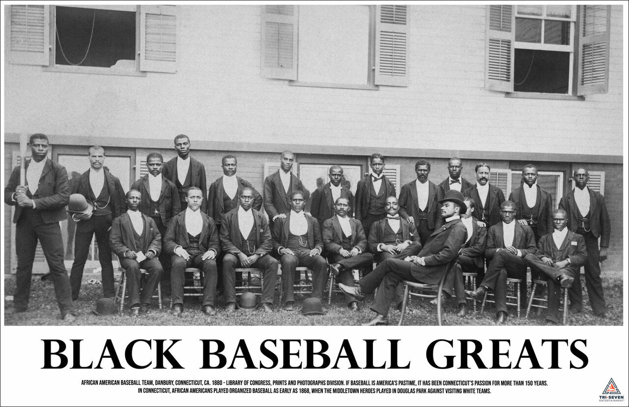 Black Baseball Greats Poster African American History