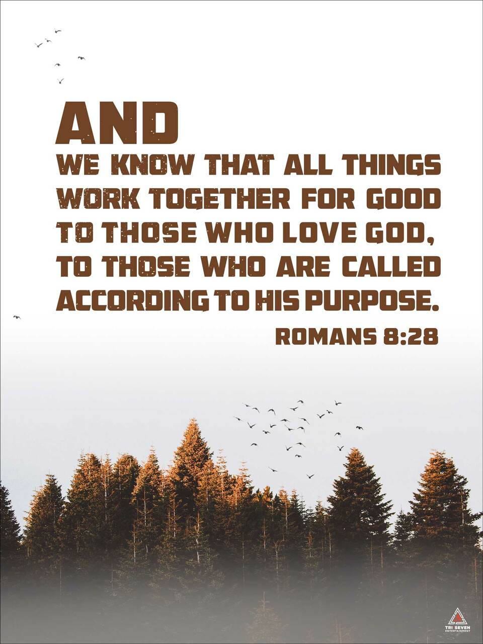 Romans 8:28 Poster All Things Work Together